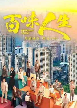 雾港听风者热播电视剧全集在线观看